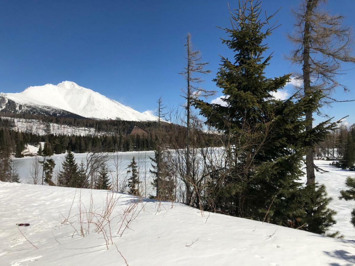 Vila Horec, Vysne Hagy Vysoké Tatry Buitenkant foto