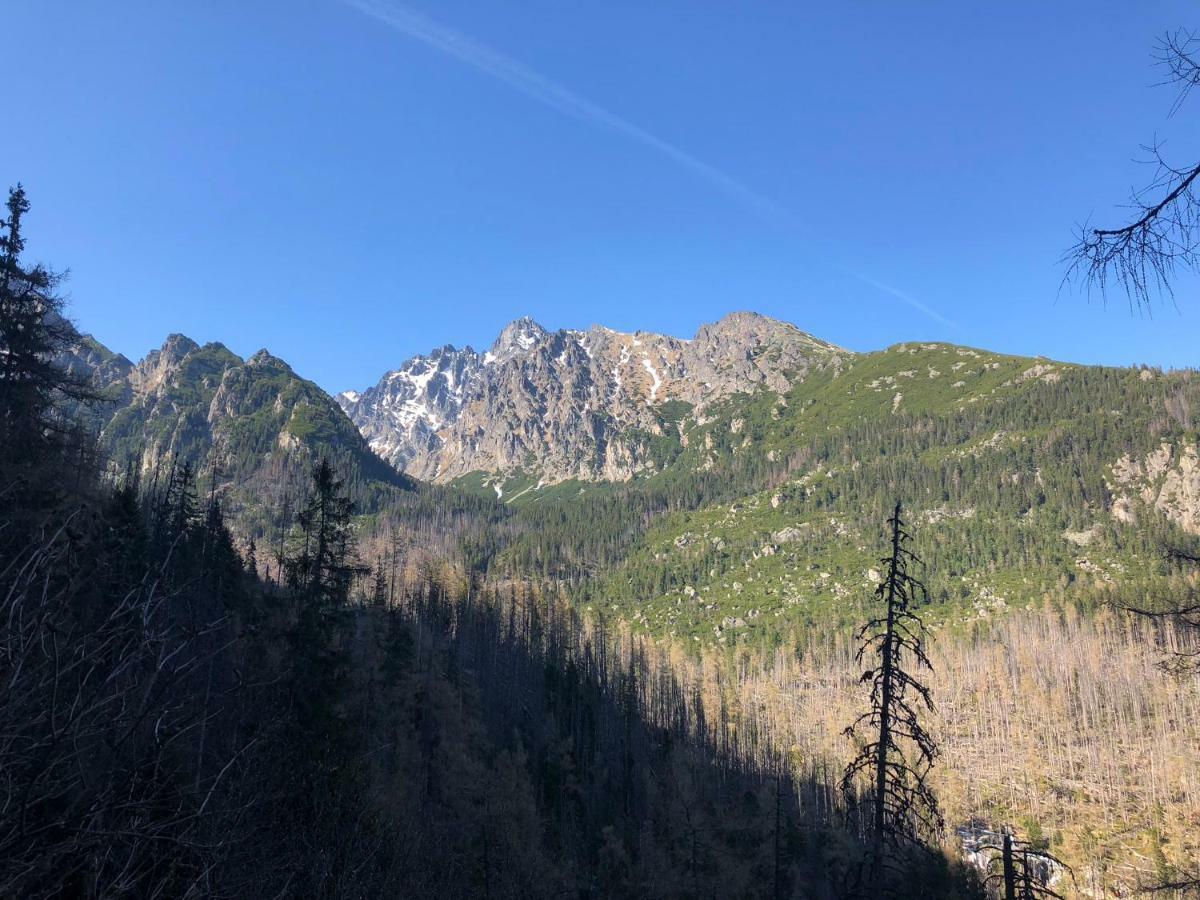 Vila Horec, Vysne Hagy Vysoké Tatry Buitenkant foto